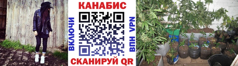 МАРИХУАНА планчик Собинка
